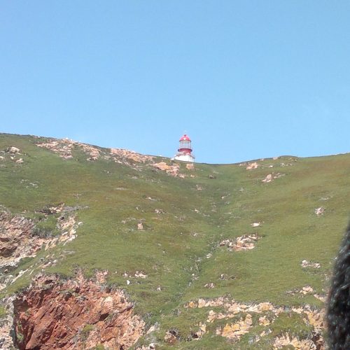 berlengas_16