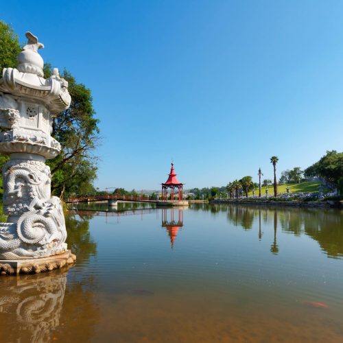 buddha_eden_11